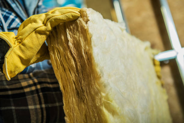 Best Residential Insulation in Jonesville, MI