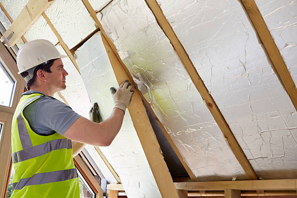 Best Specialized Insulation Services in Jonesville, MI