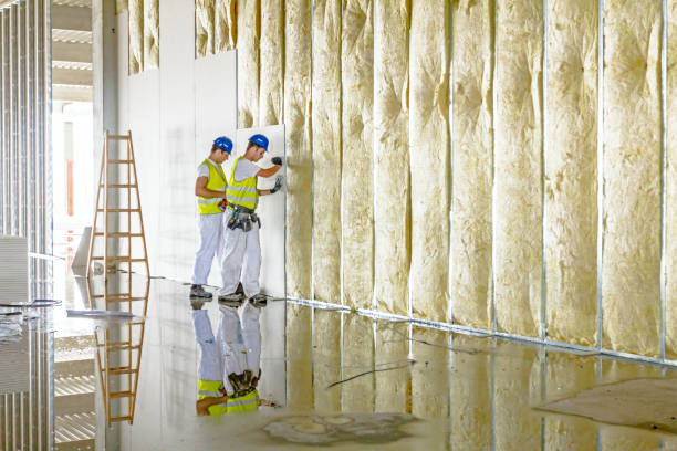 Best Fiberglass Insulation in Jonesville, MI